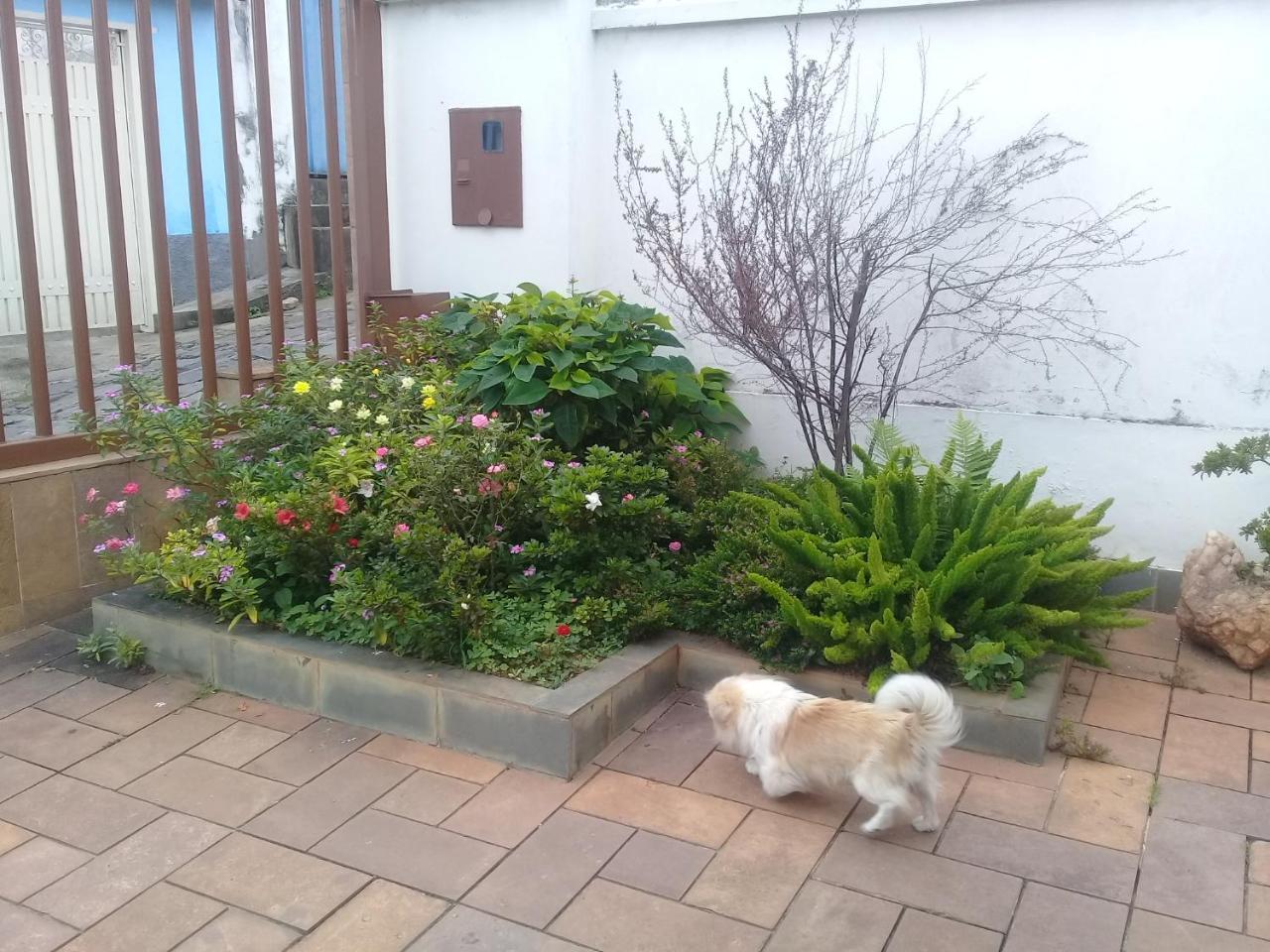 Casa Espetacular No Centro De Diamantina住宿加早餐旅馆 外观 照片